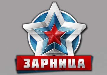 ​Ульяновских ТОС ждет «Зарница»