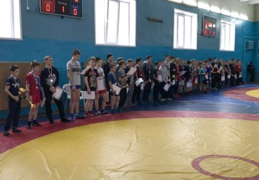 ​Ульяновские вольники поборолись за награды Первенства города по вольной борьбе